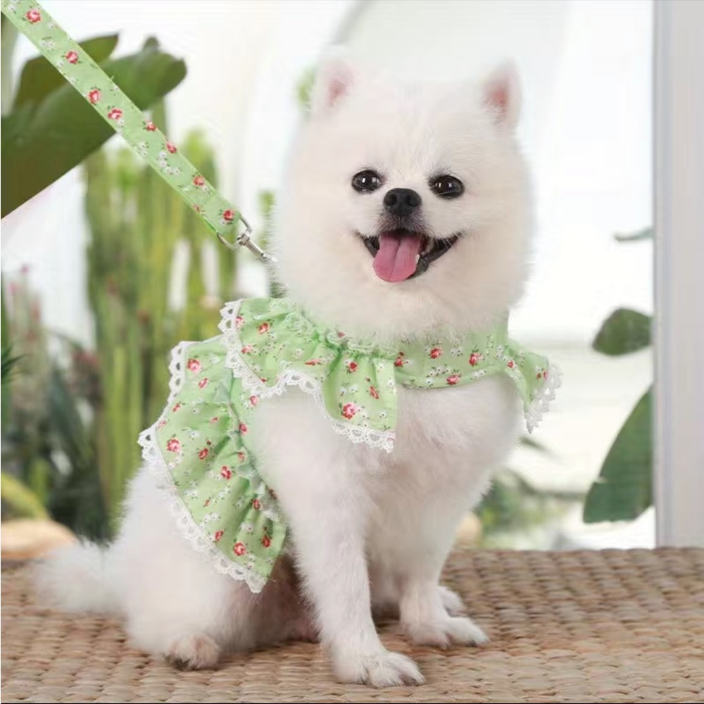 NWT Green Floral Ruffle Dress Harness & Leash Set